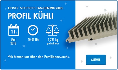 Profil_KÜHLI_FINAL_380